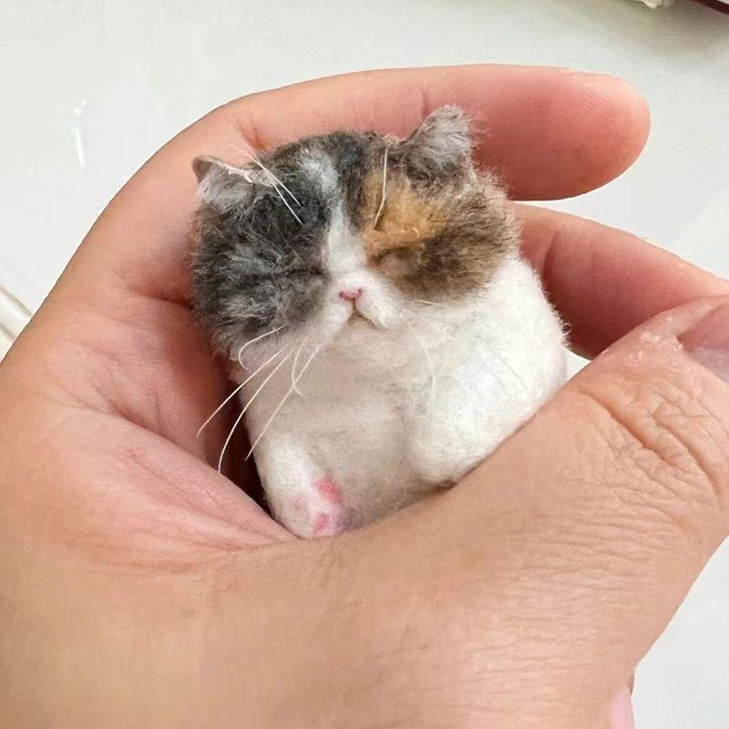 DIY Wool Needle Felting Sheep Felt Poke Cat Bag Creative Animal Gift for Beginners Handmade Simulation Craft Material Bag
