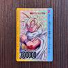 Used Dragon Ball Z PP Card Son Gohan