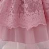 New Princess Girls Embroidery Flower Newborn Dress Children Kids Elegant Wedding Dresses Children Clothing For 0-2 Years