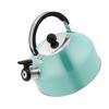 Tea Kettle Flat Bottom Stainless Steel Teapot for Stovetop Induction Cooker 3L Large Capacity