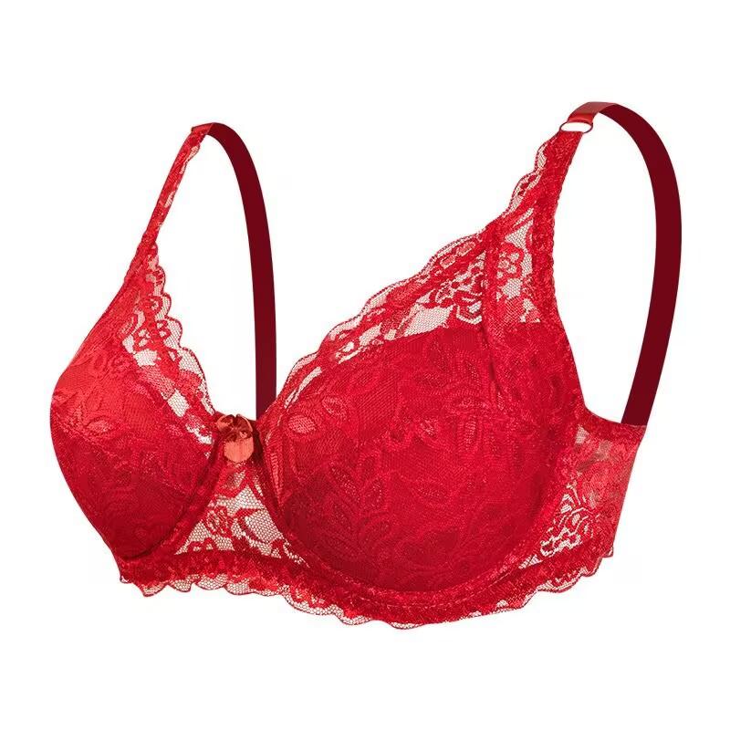 Sexy Lace Hollow Out Breathable Bras for Women Plus Size Ultra-Thin Solid Color Bra