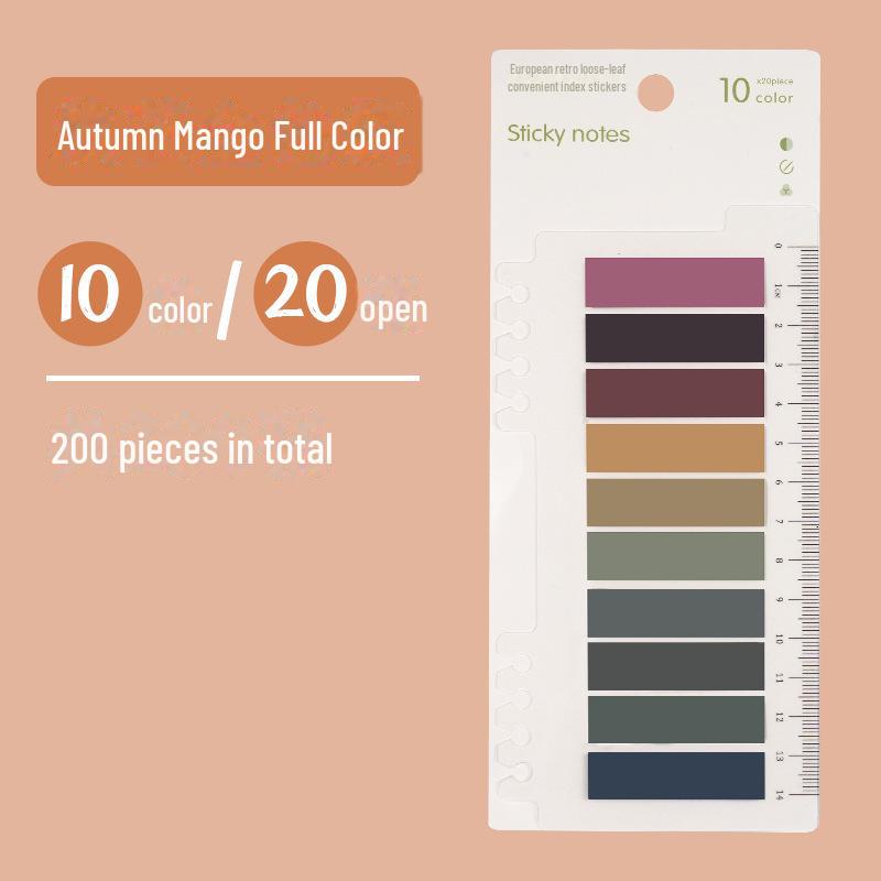 Morandi Color Sticky Notes: Small, Fresh, Writable, Loose-Leaf PET Material for Key Mark Classification