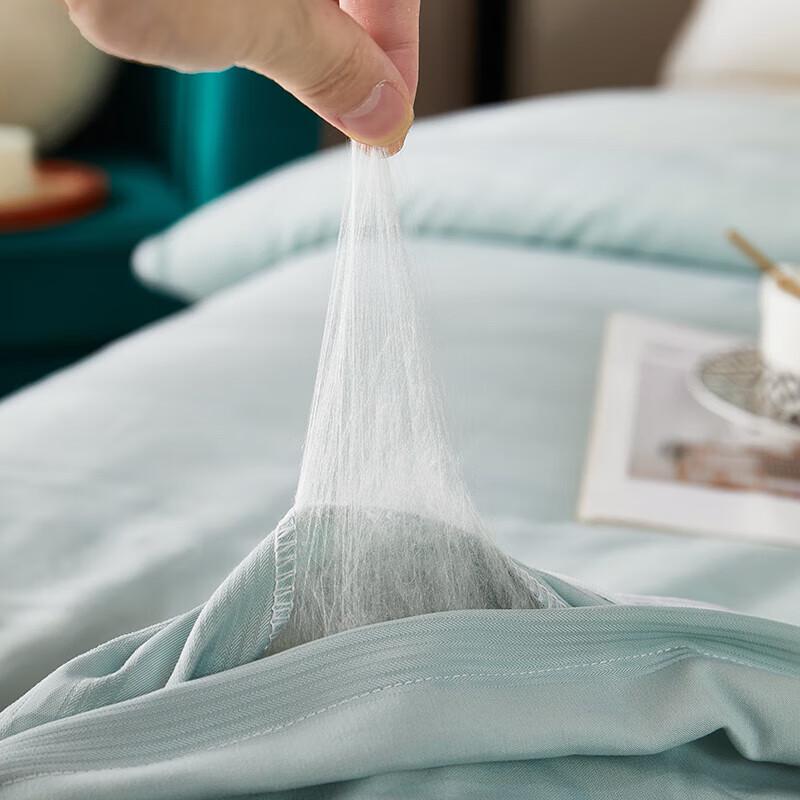 Beigaman Jacquard Mulberry Silk Quilt