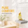 Washable Pumice Claw Grinding Platform Chew-Resistant Bird Resting Platform  Claw Maintenance