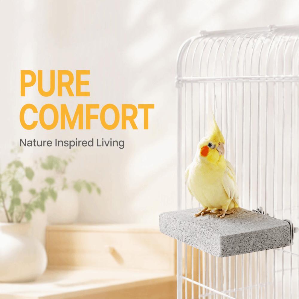 Washable Pumice Claw Grinding Platform Chew-Resistant Bird Resting Platform Claw Maintenance