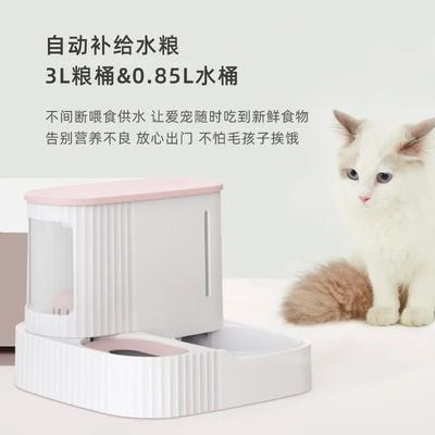 Psi – Misky pro psy
