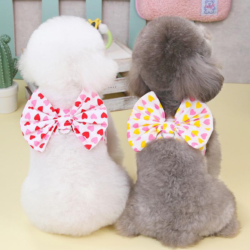 Pet cat dog leash clothes bow chest strap teddy bear pomeranian small dog out vest