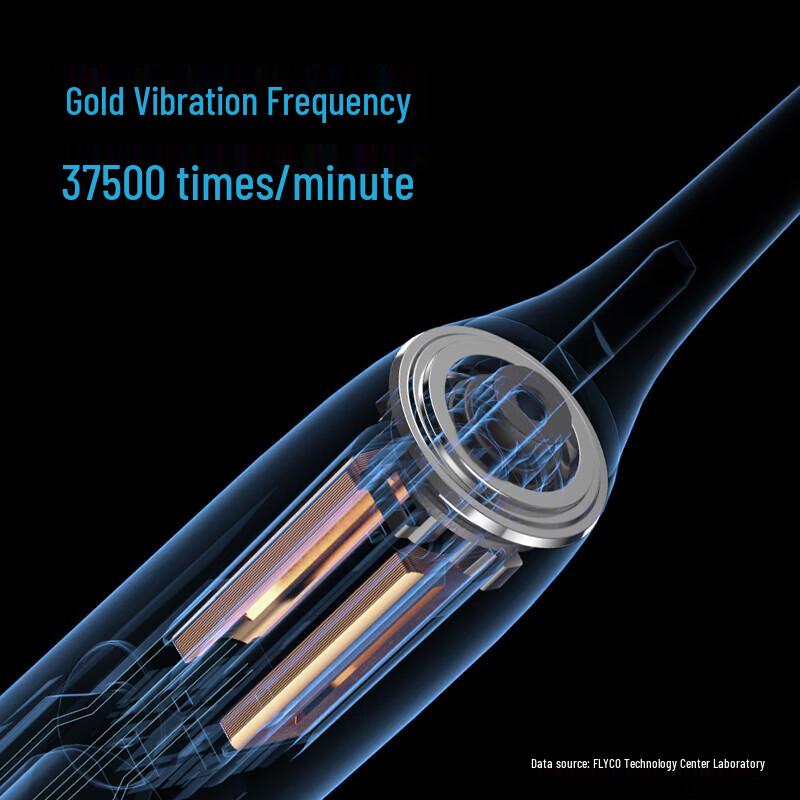 FLYCO Smart Sonic Electric Toothbrush