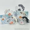 Greedy Cat Goldfish Micro Landscape Cup Figure