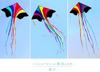 Rainbow Kite Children'S Cartoon Breeze Easy To Fly  New Small Kite Trumpet