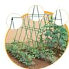 Cucumber Trellis Detachable Practical Garden Trellis for Vines Fruits Squash