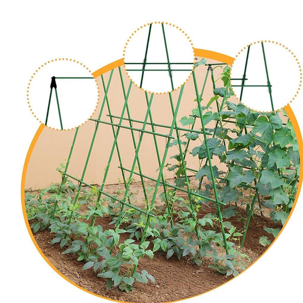 Cucumber Trellis Detachable Practical Garden Trellis for Vines Fruits Squash