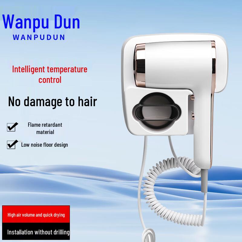 Wall-Mounted Hair Dryer