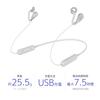 Sony Wireless Stereo Earphones Control Buttons 2019 Model Gray SBH82D H Open-Ear SBH82D Bluetooth/Background Listening/NFC Compatible/Microphone &