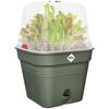 ELHO Pot de culture Carré GREEN BASICS - Plastique - Réservoir - 19,5 x 19,5 x H 16,5 cm - Leaf Green
