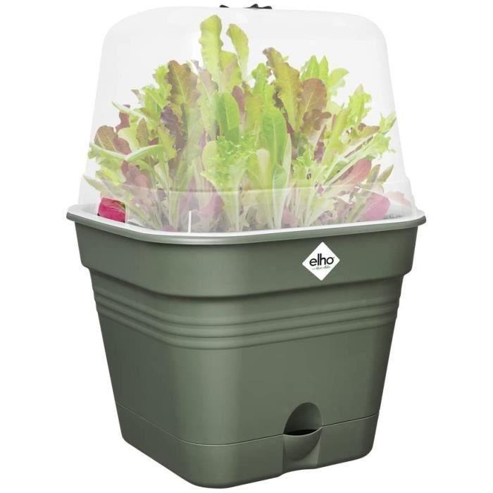 ELHO Square Grow Pot GREEN BASICS - Plastic - Reservoir - 19.5 X 19.5 X H 16.5 Cm - Leaf Green