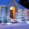 String Lights White, 49ft 306 LED 9mm Frosted Globe String Lights, 11 Modes Christmas Globe Lights, Xmas Tree Ball Lights Outdoor Mini Globe Light