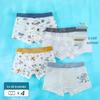 Boys' Summer Ice Silk Mesh Boxer Briefs
