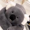 Back Treasure Plush Toy: Panda, Koala, Raccoon, Dinosaur Cloth Doll & Hugging Pillow for Kids