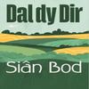 Dal Dy Dir by Sian Williams Paperback Book 9781800996878