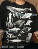 Vintage Marine Life Ocean Animals Comfort Colors® Tshirt, Retro Sea Turtle Whale Shark Graphic Y2K Tees, Nature Biology Lover Sweater
