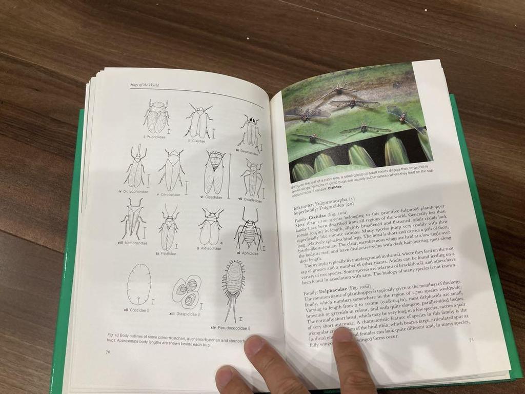 [USED] Bugs of the World Search for insect specimens