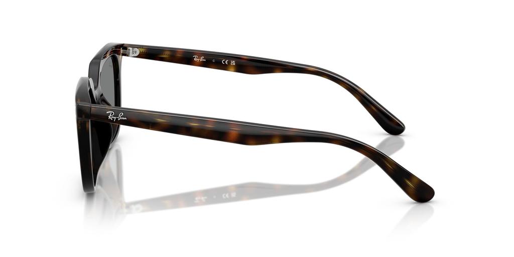 Sunglasses 0RB4439D HAVANA DARK GREY 54mm Asian Fit Ray-Ban (dark Grey)