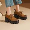 Retro Platform Single Shoes Women's Leather 2025 New Lace-up Thick Heel Muffin Shoes Spring British Style Square Head High Heels