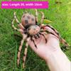 Simulation Insect Small Animal Toy Ant Cricket Spider Scorpion Ladybug Simulation Animal Model Home Garden Ornaments Statues