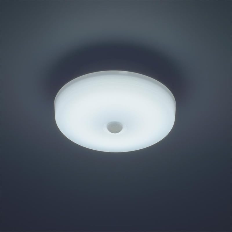 OHM Electric LED Ceiling Light, Small, with Motion Sensor, 60W Equivalent, 820 Lumens, Daylight White, Mini Ceiling Light for Entrance, Toilet,