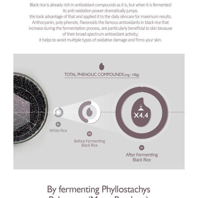 haruharu wonder - Black Rice Hyaluronic Toner Fragrance Free Trial