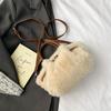 Winter Plush Bag Women's New Fashion Versatile Crossbody Bag Exquisite Handbag