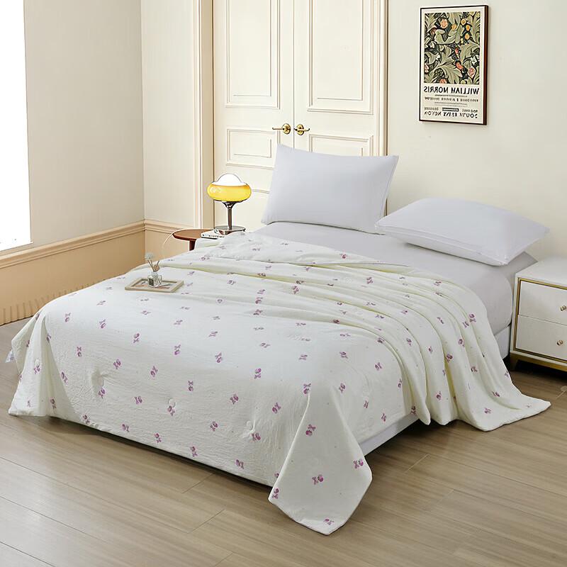 Bejirog Cloud Soft Summer Quilt