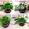 Pinus Hwangshanensis Artificial Bonsai With Plastic Material For Home Decor And Gift Use