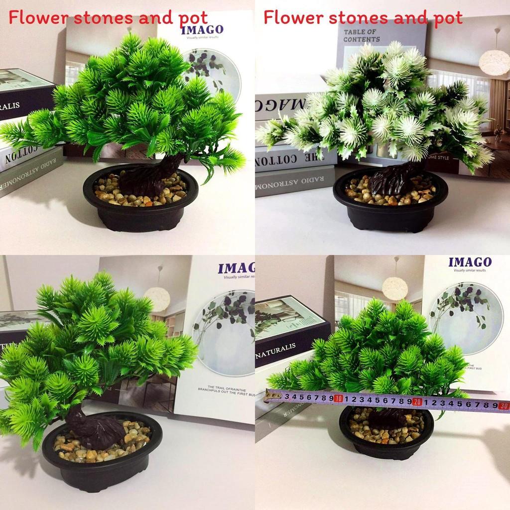 Pinus Hwangshanensis Artificial Bonsai With Plastic Material For Home Decor And Gift Use