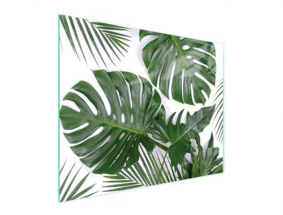 SZKLANA DESKA DO KROJENIA 52x40 MONSTERA