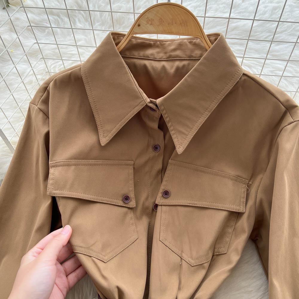 French Light Maturity Minimalist Retro Lapel Long Sleeve Single Button Waist Cinching Dress Women Autumn Slim Fit Elegant Maxi Dresses