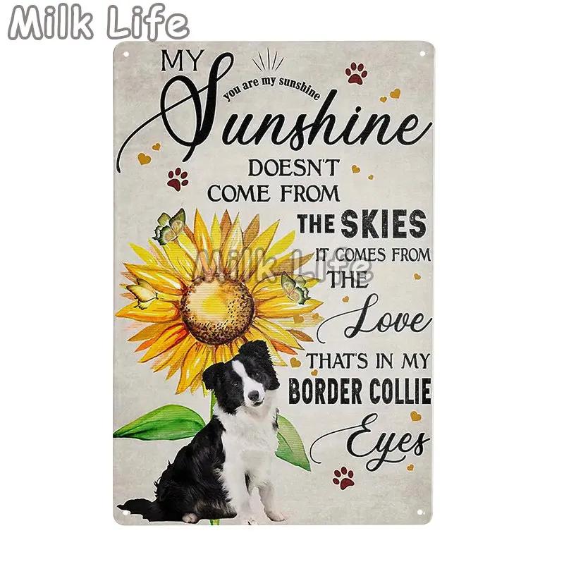 Metal Tin Sign Vintage Funny Border Collie Dog for Coffee Bathroom Toilet Pet Shop Home Sweet Home Sign Bedroom Art Wall Decor