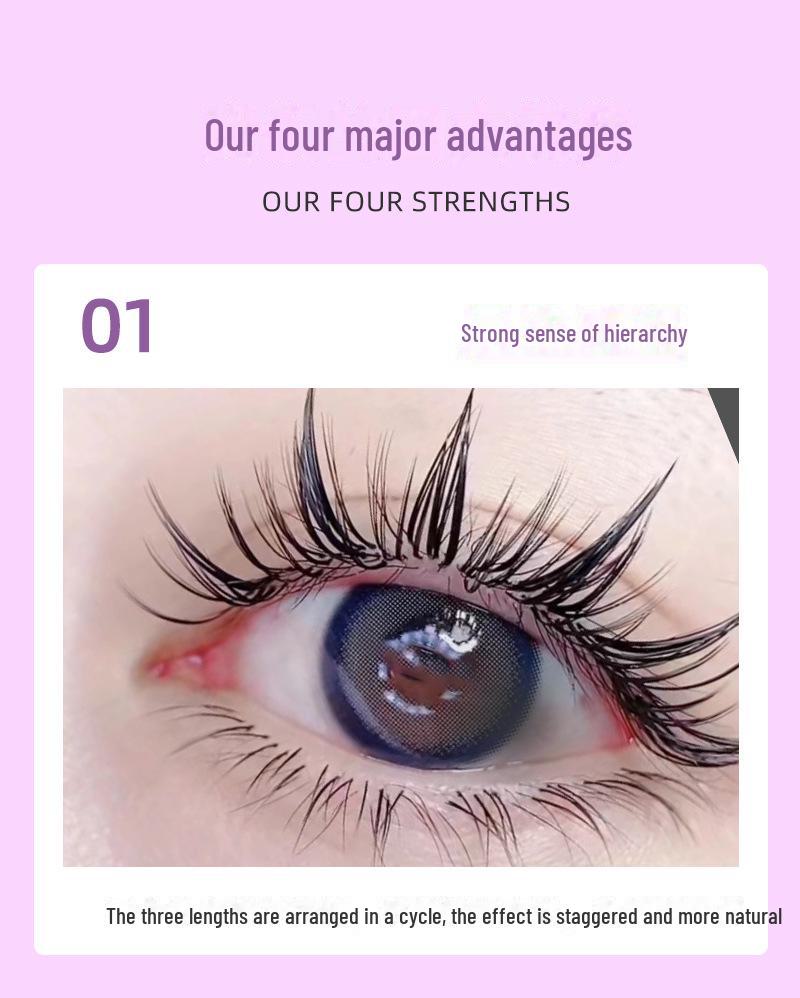 0.07 Gene altoite cu desene animate Camellia: Gene false thailandeze moi, cu o singură rădăcină, ondulate în stil chinezesc.