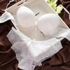 European & American Lace Push-up Bra and Panty Set - Sexy, Comfortable, Underwire Design