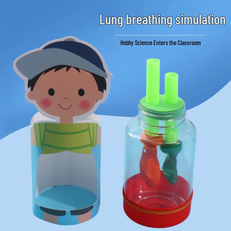 

DIY Human Lung Model Kit for Middle and High School STEAM Biology Experiments See Description