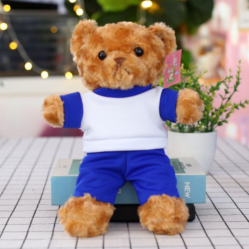 Cute Sweater Bear Plush Toy Doll Teddy Bear Doll Birthday Gift