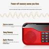 Newman Portable Multi-Function Radio Player