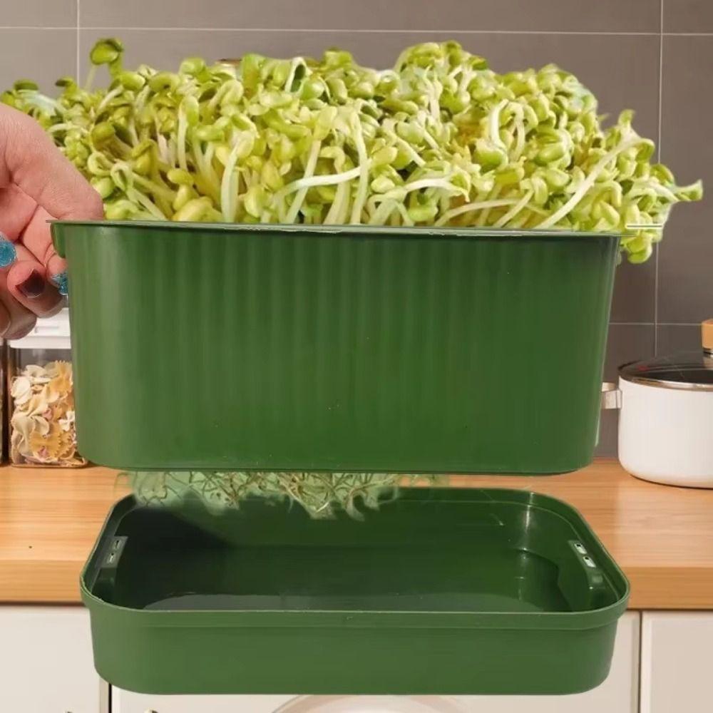 Plastic Seed Sprouter Tray With Cover Beans Seeding Pot New Sprout Dish Growing Pot