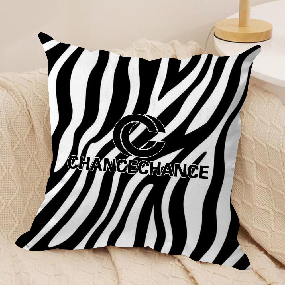 Brand CChancechance Classic Cushion Cover Pillowcase Ultra Soft Skin Friendly Fabric Cloud Like Comfort  Concealed Zipper