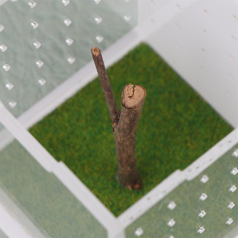 Springspinne Terrarium - Acryl Reptilien Zuchtbox Springspinne Box Mit Licht Luftbefeuchter Futterbehälter Zubehör