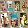 Pies Złoty Retriever Do Samsung Galaxy M20 M30s M31 M51 M15 M55 M13 M23 M33 M53 M12 M32 M52 M14 M34 M54 Etui