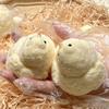 Cute Squishy Chick Press Plaything Handmade Yellow Big Chicken Plush Silicone Plaything Stress Ease Sticky Doll Kawaii Gift For Children