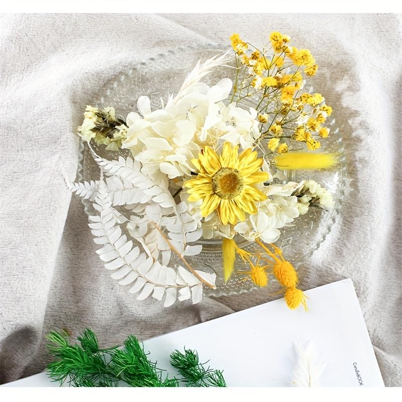 Multicolor Dried Flowers & Leaves DIY Craft Kit Resin Molds for Jewelry, Nail Art, Candles, Soap Making & Home Decor