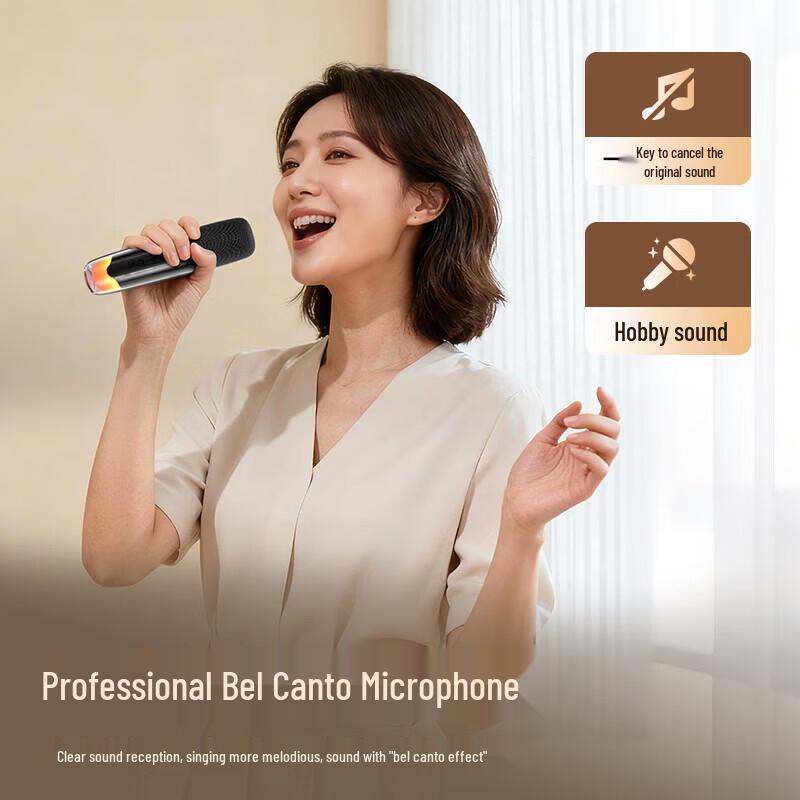 Newmine K19 All-in-One Bluetooth Karaoke Speaker CN plug (adapter included)